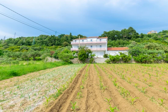 Apartmán Ostrov Rab - Palit OS 10209 N2