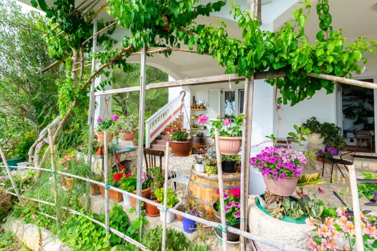 Apartmán Ostrov Rab - Palit OS 10209 N2