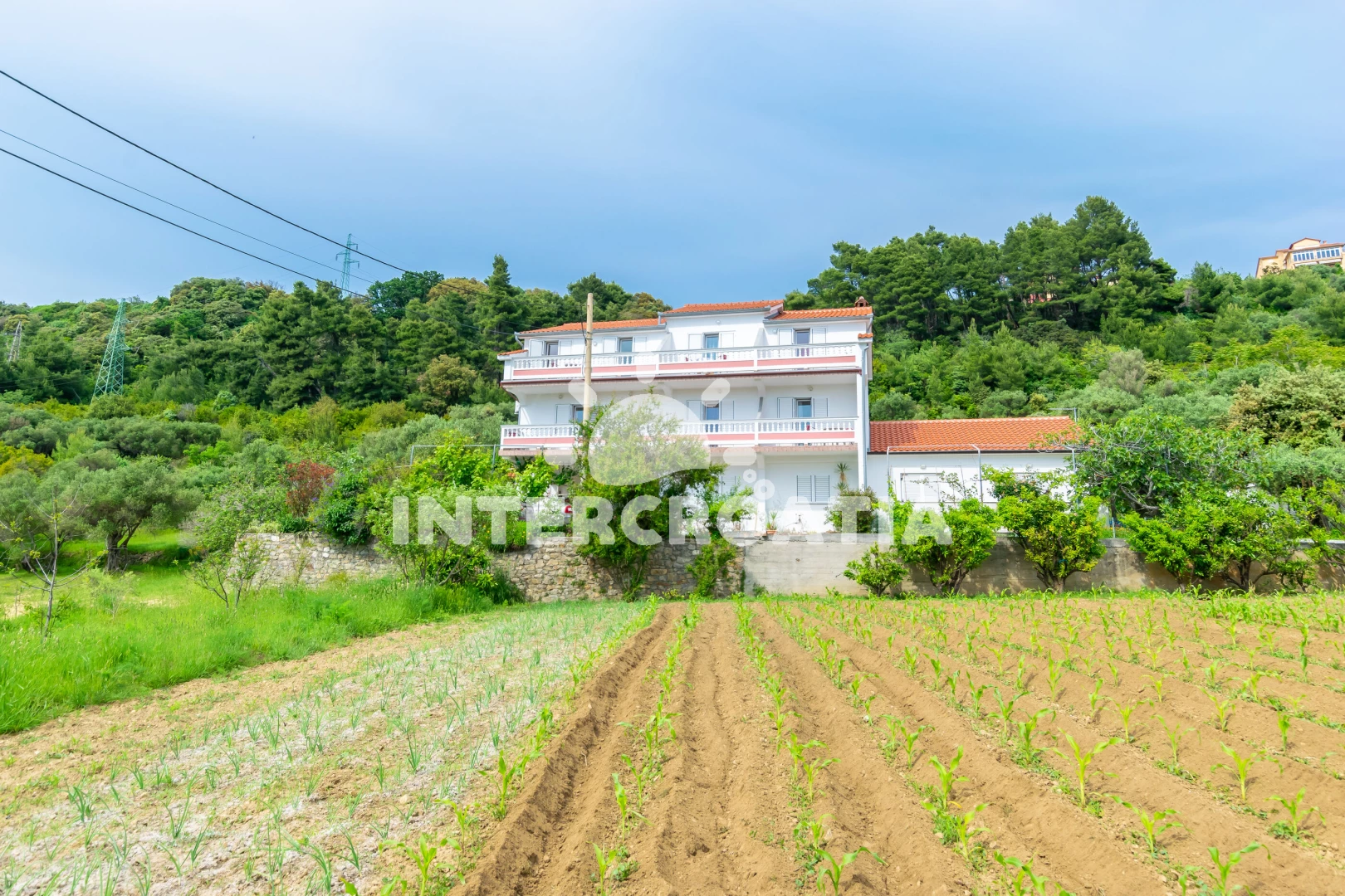 Apartmán Ostrov Rab - Palit OS 10209 N5