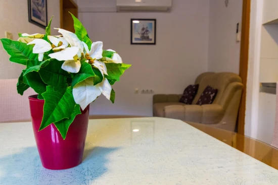 Apartmán Střední Dalmácie - Split DA 8382 N1