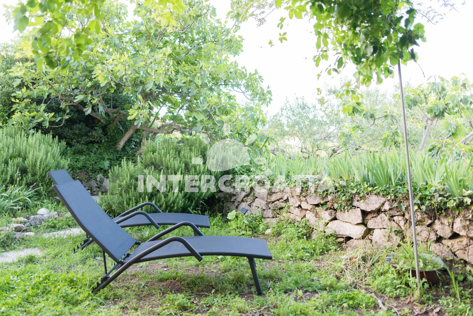 Domek Ostrov Ugljan - Preko OS 10219 N1