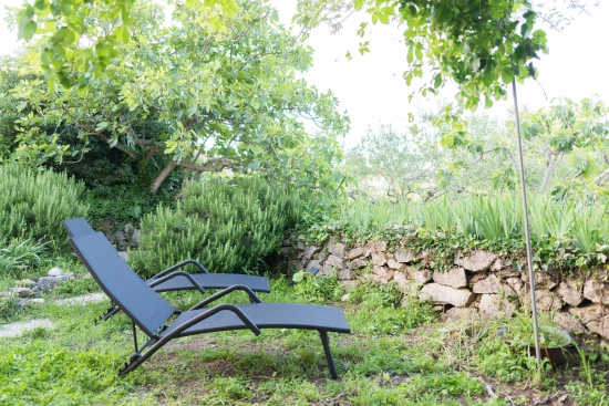 Domek Ostrov Ugljan - Preko OS 10219 N1