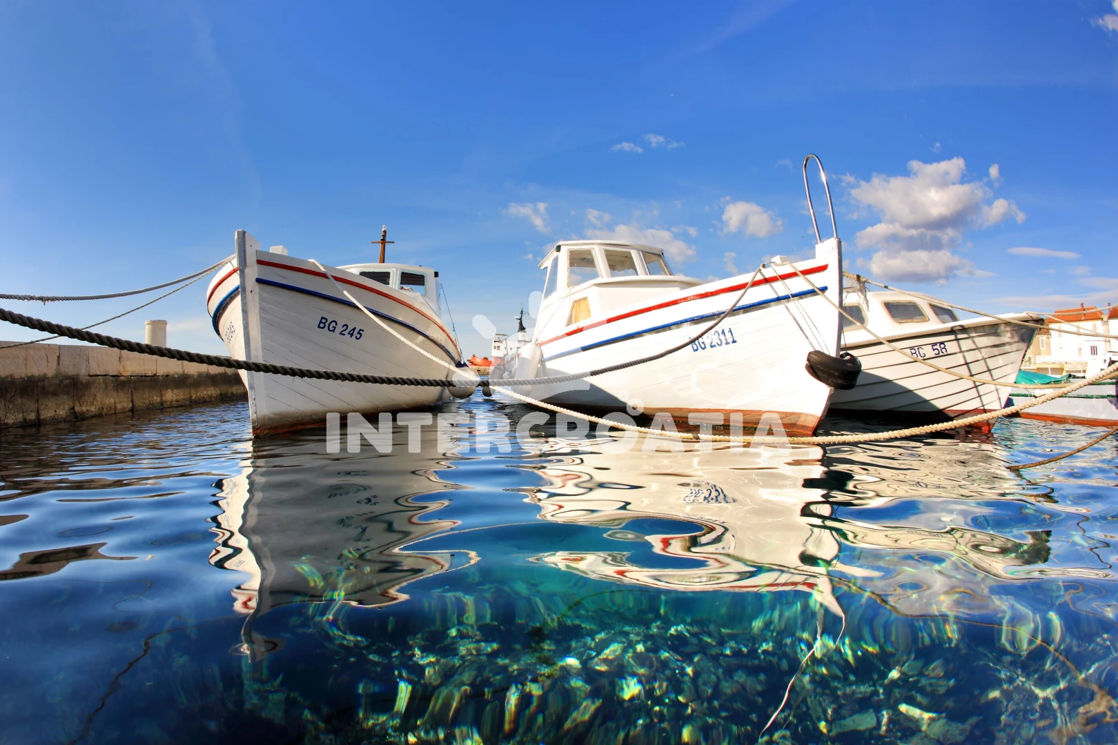 Apartmán Severní Dalmácie - Biograd na Moru DA 8392 N1