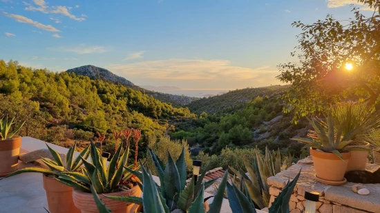 Domek Ostrov Hvar - Velo Grablje OS 10223 N1