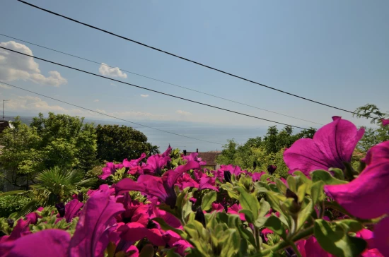 Apartmán Kvarner - Opatija KV 7596 N1