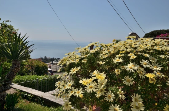 Apartmán Kvarner - Opatija KV 7596 N1