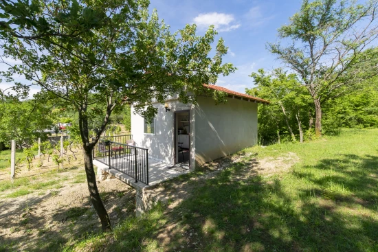 Domek Střední Dalmácie - Kučiće DA 8400 N1