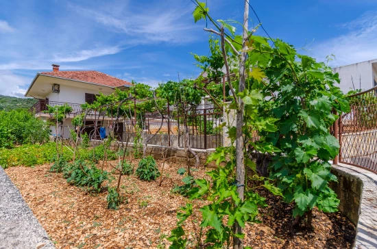 Apartmán Střední Dalmácie - Vinišće DA 8401 N1