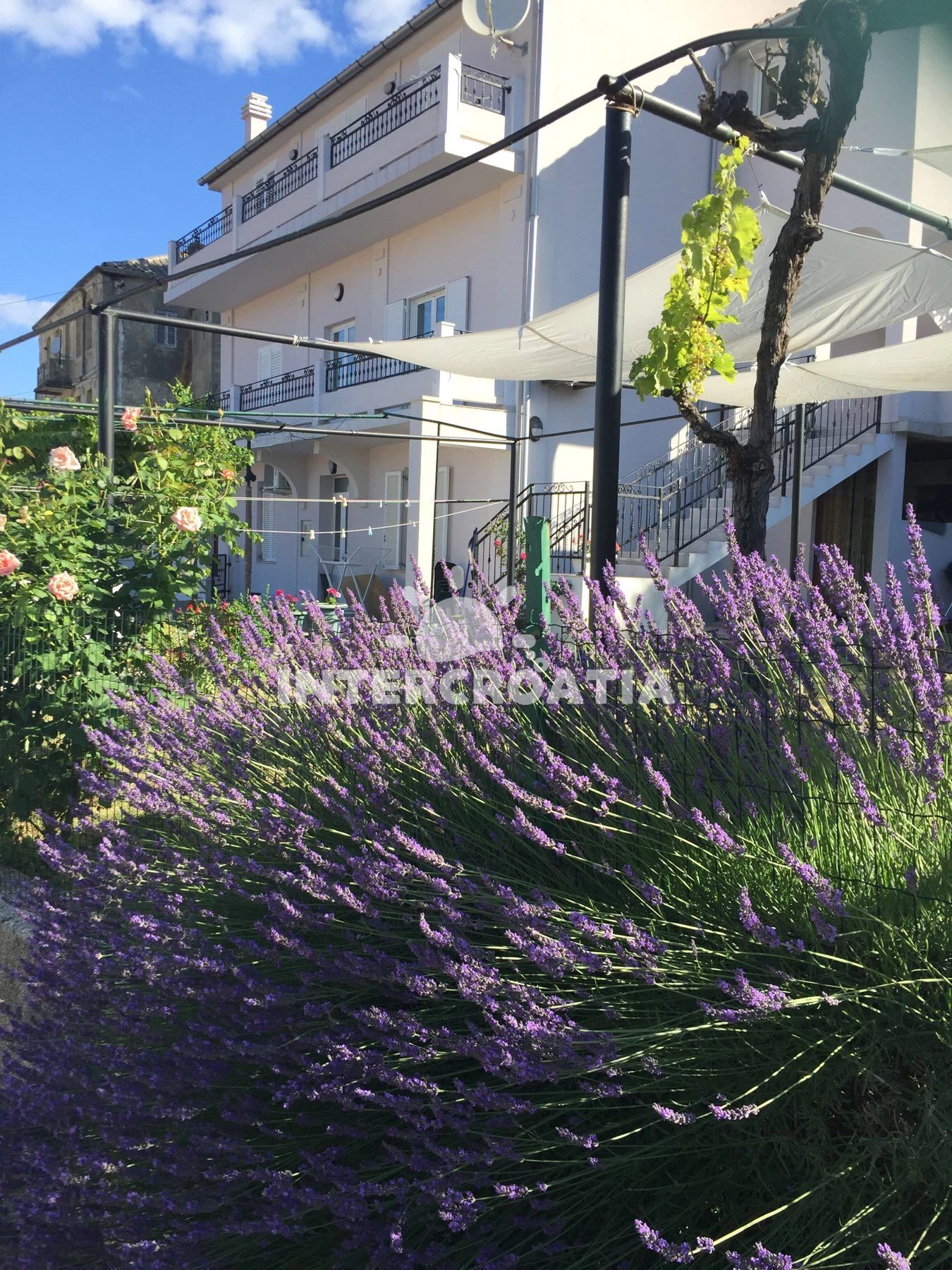 Apartmán Ostrov Rab - Lopar OS 10234 N2