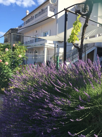 Apartmán Ostrov Rab - Lopar OS 10234 N2