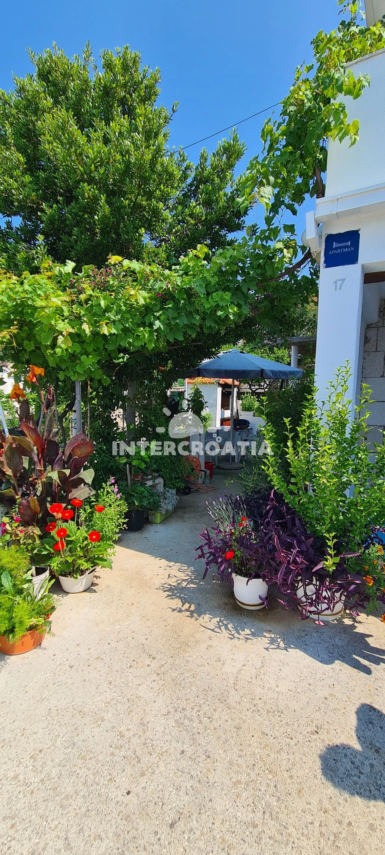 Apartmán Ostrov Hvar - Sućuraj OS 10244 N1