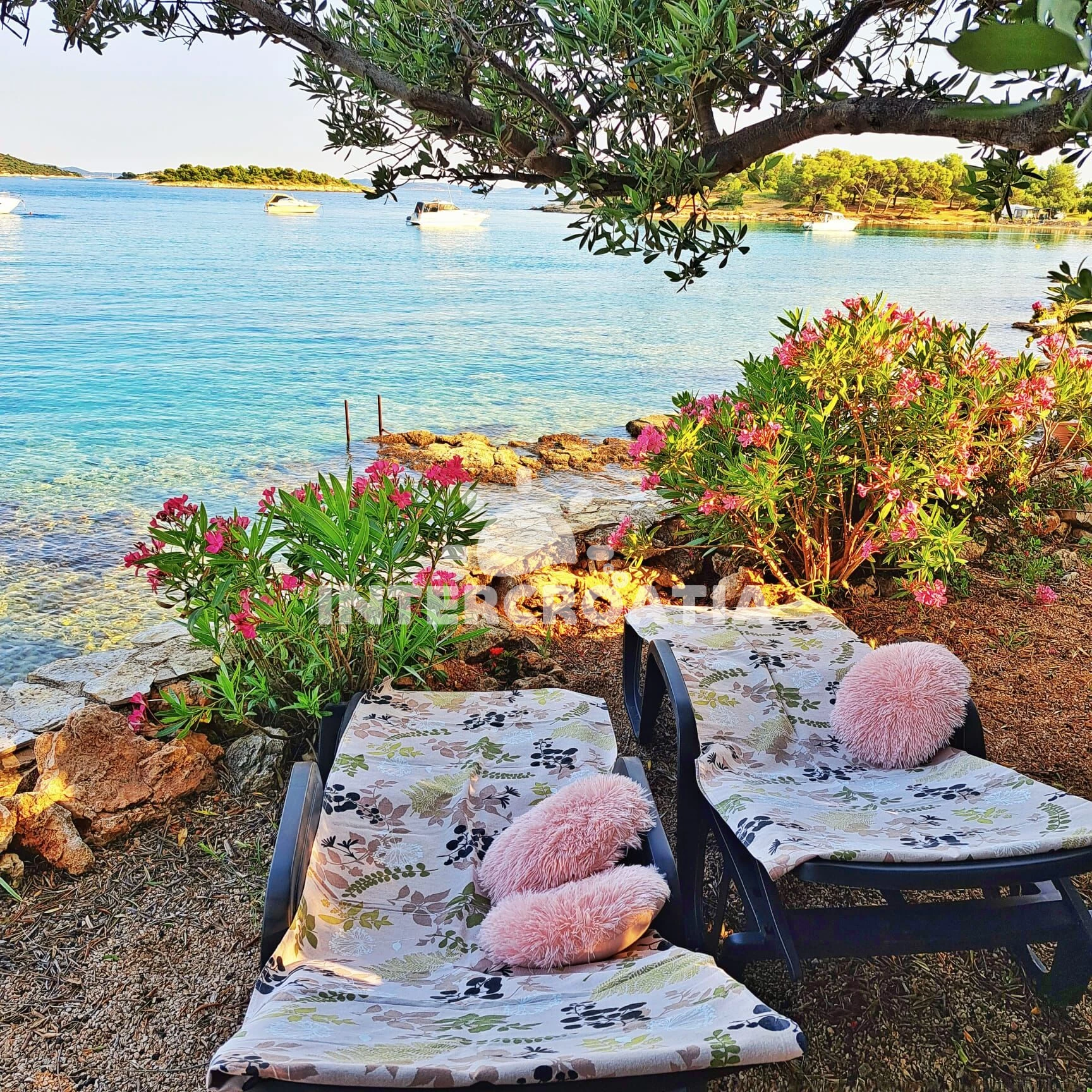 Domek Ostrov Murter - Murter OS 10252 N1