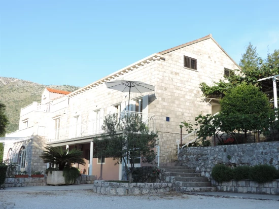 Apartmán Jižní Dalmácie - Zaton (Dubrovník) DA 8446 N1