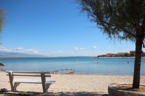 Apartmán Ostrov Vir - Vir OS 10262 N2