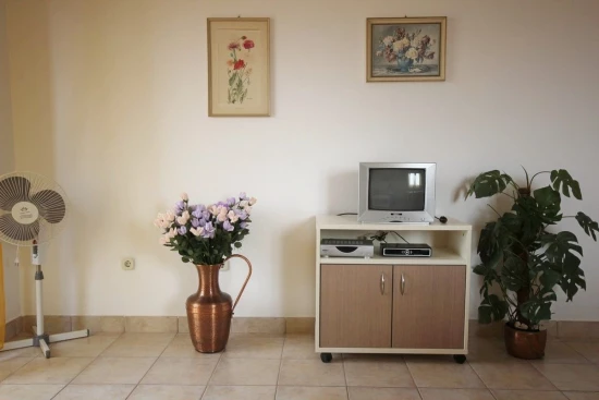 Apartmán Ostrov Vir - Vir OS 10262 N2