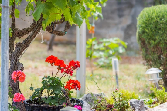 Apartmán Severní Dalmácie - Kanica DA 8450 N2