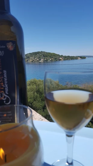 Apartmán Ostrov Ugljan - Kali OS 10274 N1