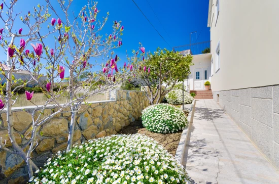 Apartmán Ostrov Rab - Rab OS 10281 N1