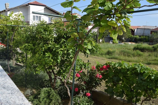 Apartmán Ostrov Rab - Rab OS 10281 N1