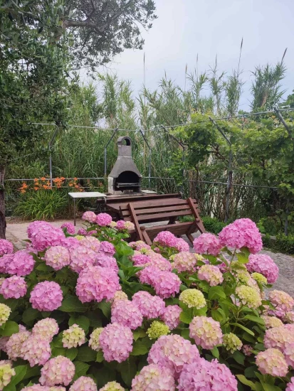 Apartmán Ostrov Rab - Lopar OS 10282 N1