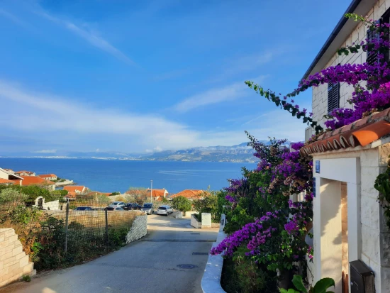 Apartmán Ostrov Brač - Postira OS 10284 N1