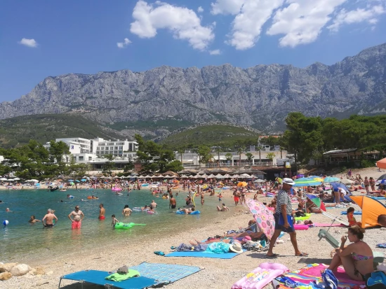 Apartmán Střední Dalmácie - Makarska DA 8466 N4