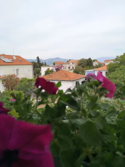 Apartmán Ostrov Brač - Supetar OS 10293 N1