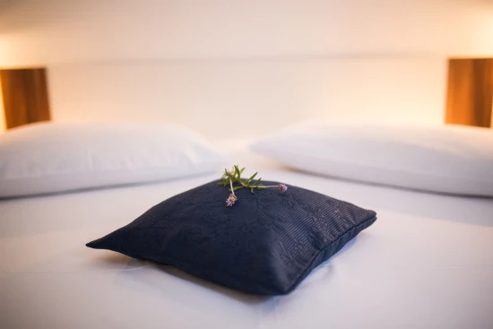 Apartmán Střední Dalmácie - Brist (Gradac) DA 8467 N5