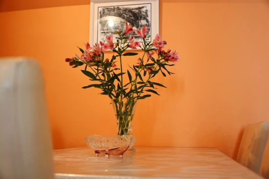 Apartmán Ostrov Brač - Pučišća OS 10296 N1