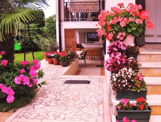 Apartmán Istrie - Fažana IS 7177 N3