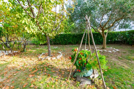 Apartmán Ostrov Rab - Palit OS 10301 N3