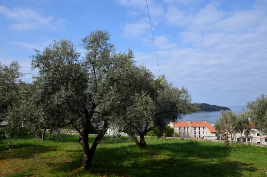 Apartmán Ostrov Cres - Cres OS 10306 N2