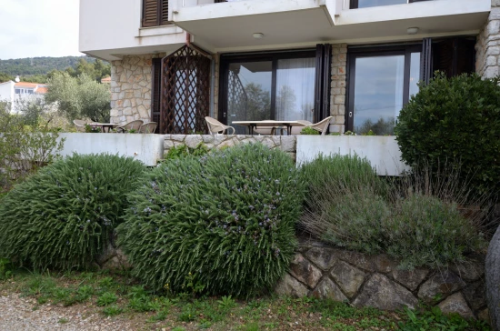 Apartmán Ostrov Cres - Cres OS 10306 N3