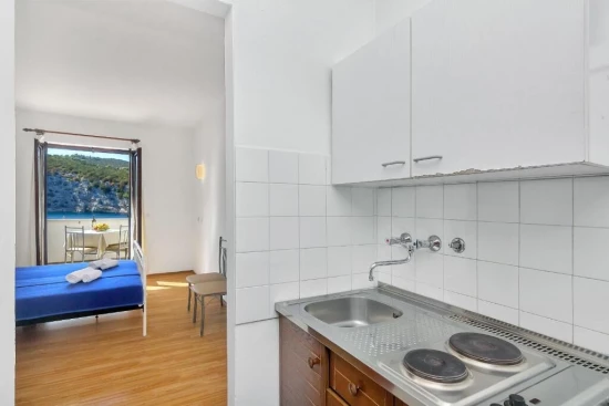 Apartmán Ostrov Hvar - Gdinj OS 10309 N1