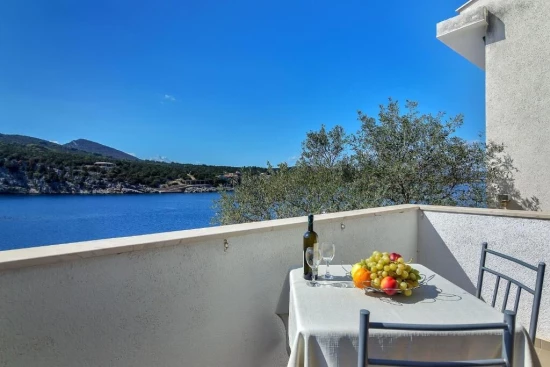 Apartmán Ostrov Hvar - Gdinj OS 10309 N1