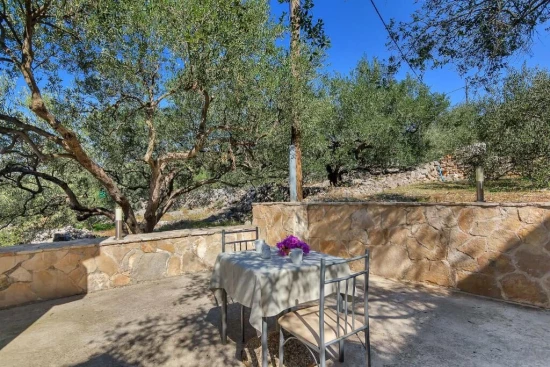 Apartmán Ostrov Hvar - Gdinj OS 10309 N8