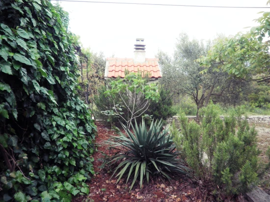 Apartmán Jižní Dalmácie - Drače DA 8480 N1