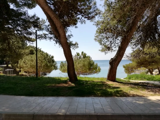 Apartmán Istrie - Pula IS 7182 N1