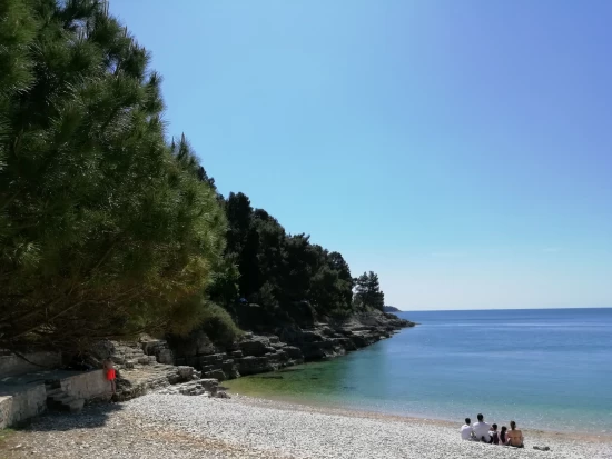 Apartmán Istrie - Pula IS 7182 N1