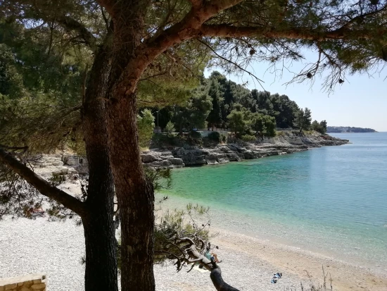 Apartmán Istrie - Pula IS 7182 N2