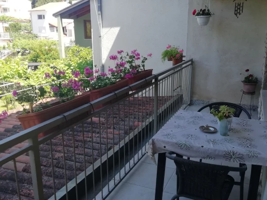 Apartmán Istrie - Pula IS 7182 N2