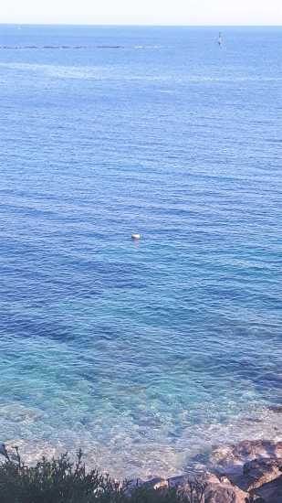 Apartmán Ostrov Vis - Vis OS 10312 N2