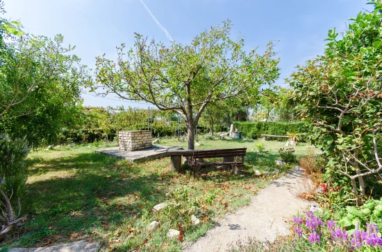 Apartmán Ostrov Rab - Banjol OS 10314 N2