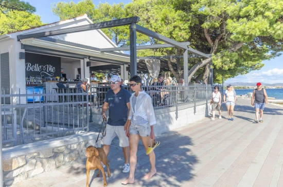 Apartmán Severní Dalmácie - Vodice DA 8484 N1