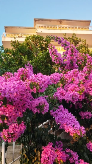 Apartmán Střední Dalmácie - Podgora DA 8485 N2