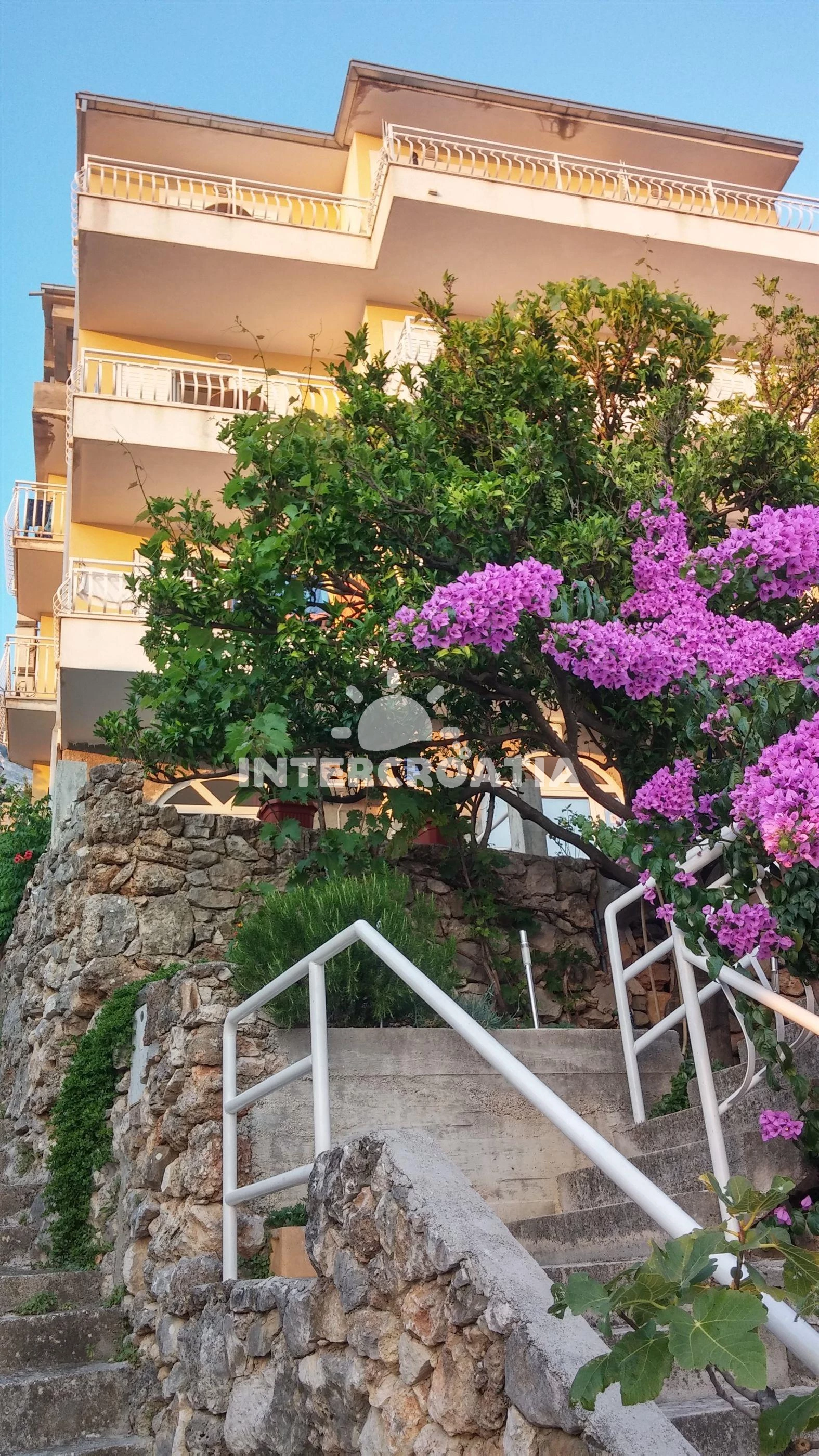 Apartmán Střední Dalmácie - Podgora DA 8485 N6