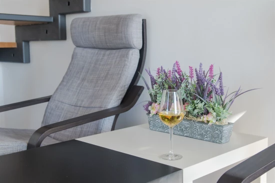 Vila Severní Dalmácie - Privlaka DA 8495 N1