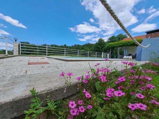 Domek Střední Dalmácie - Krušvar DA 8498 N1