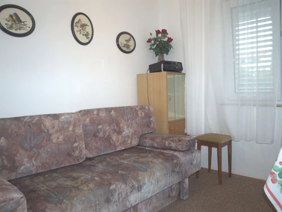 Apartmán Střední Dalmácie - Podaca DA 8501 N1