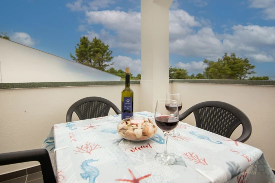 Apartmán Ostrov Vir - Vir OS 10327 N2